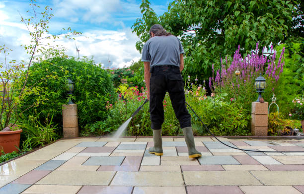 Best Spring Cleaning  in USA